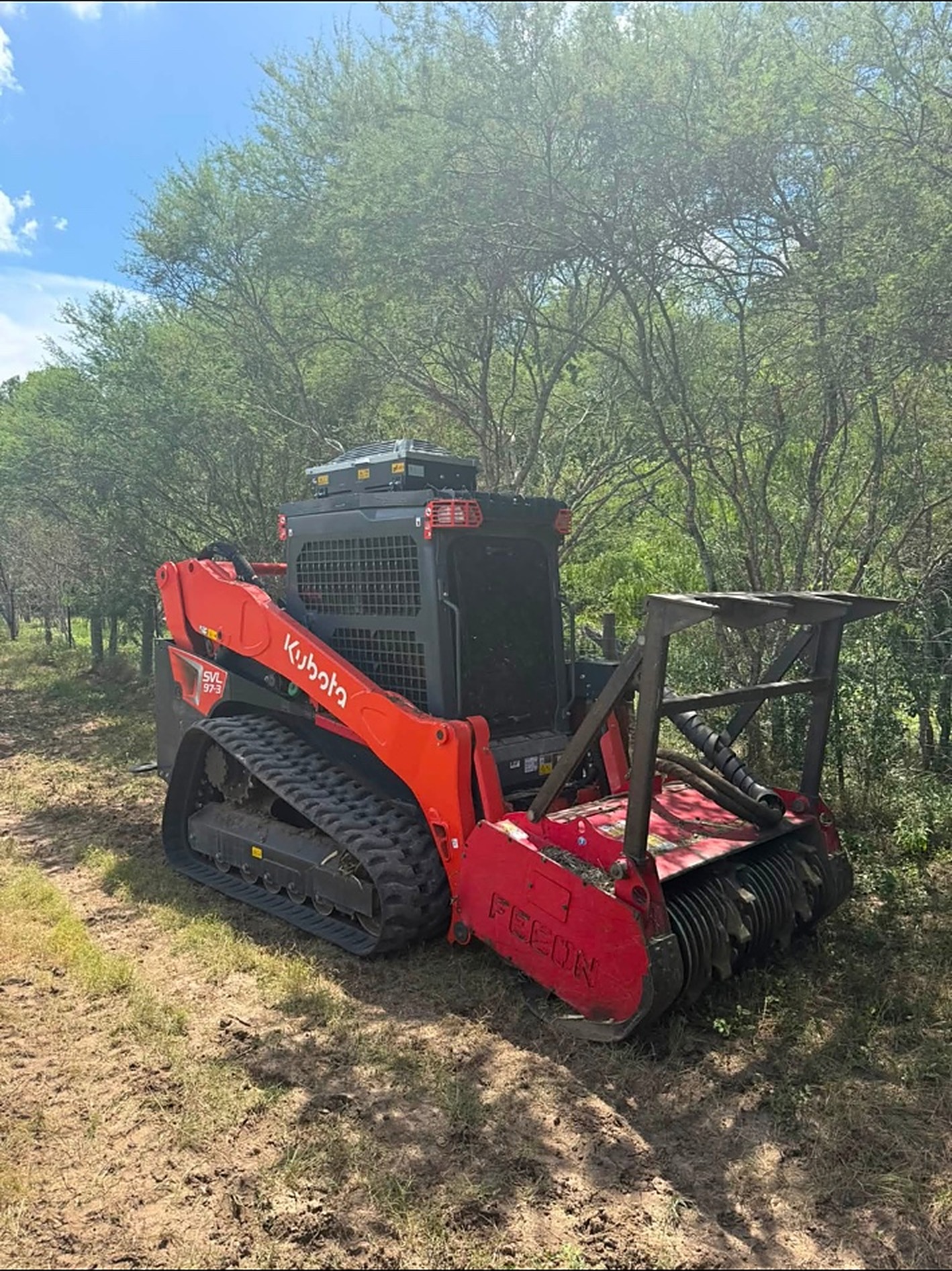 Cedar Removal in Sealy TX by Prestige Land Services