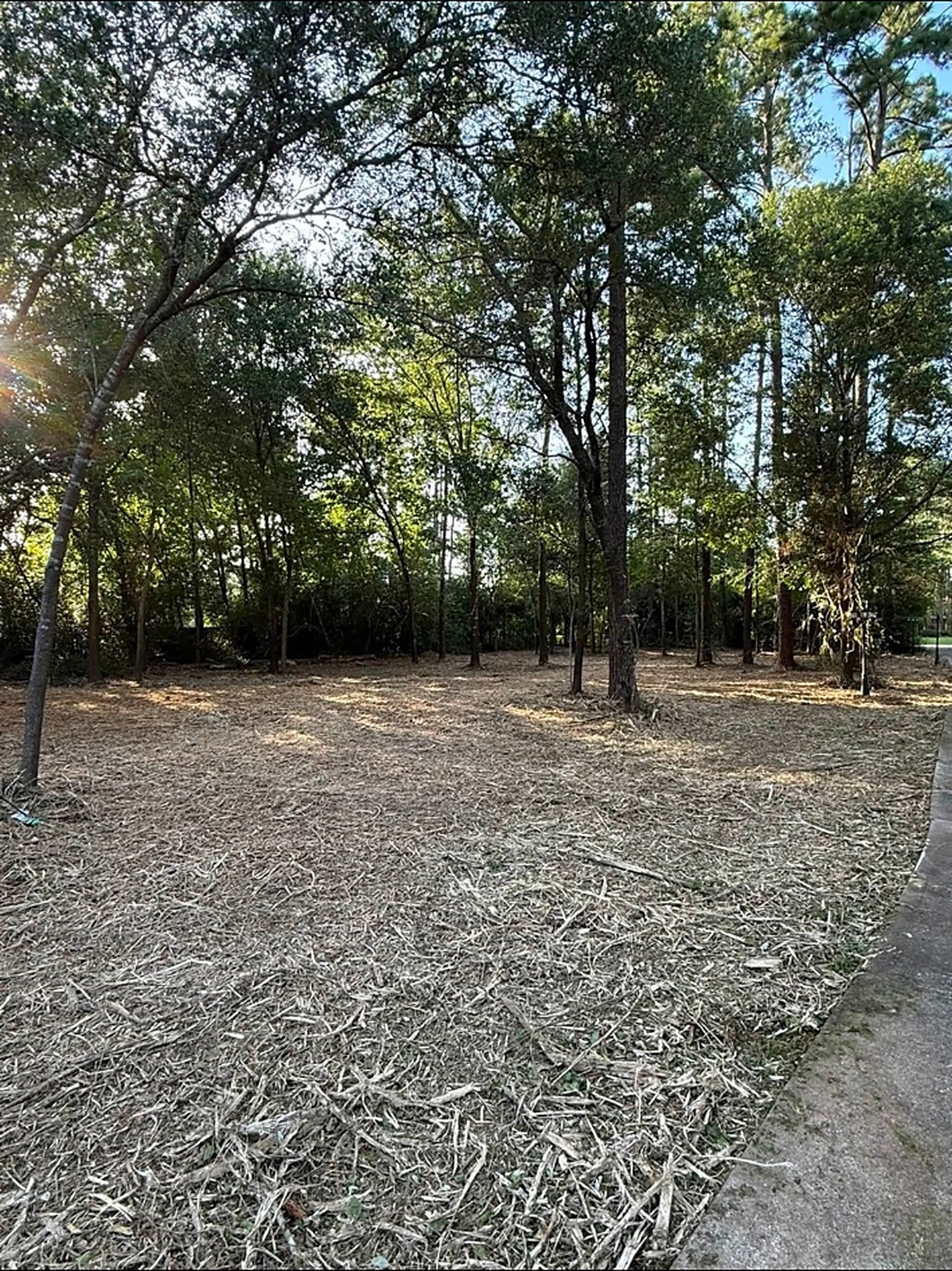 Cleared Acreage — Land Clearing project by Prestige Land Services in Southeast Texas