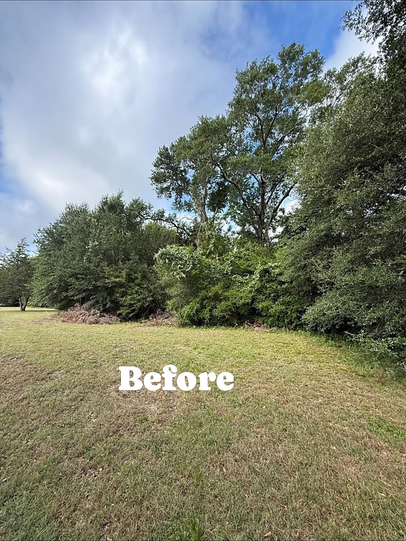 Overgrown Acreage Cleared before