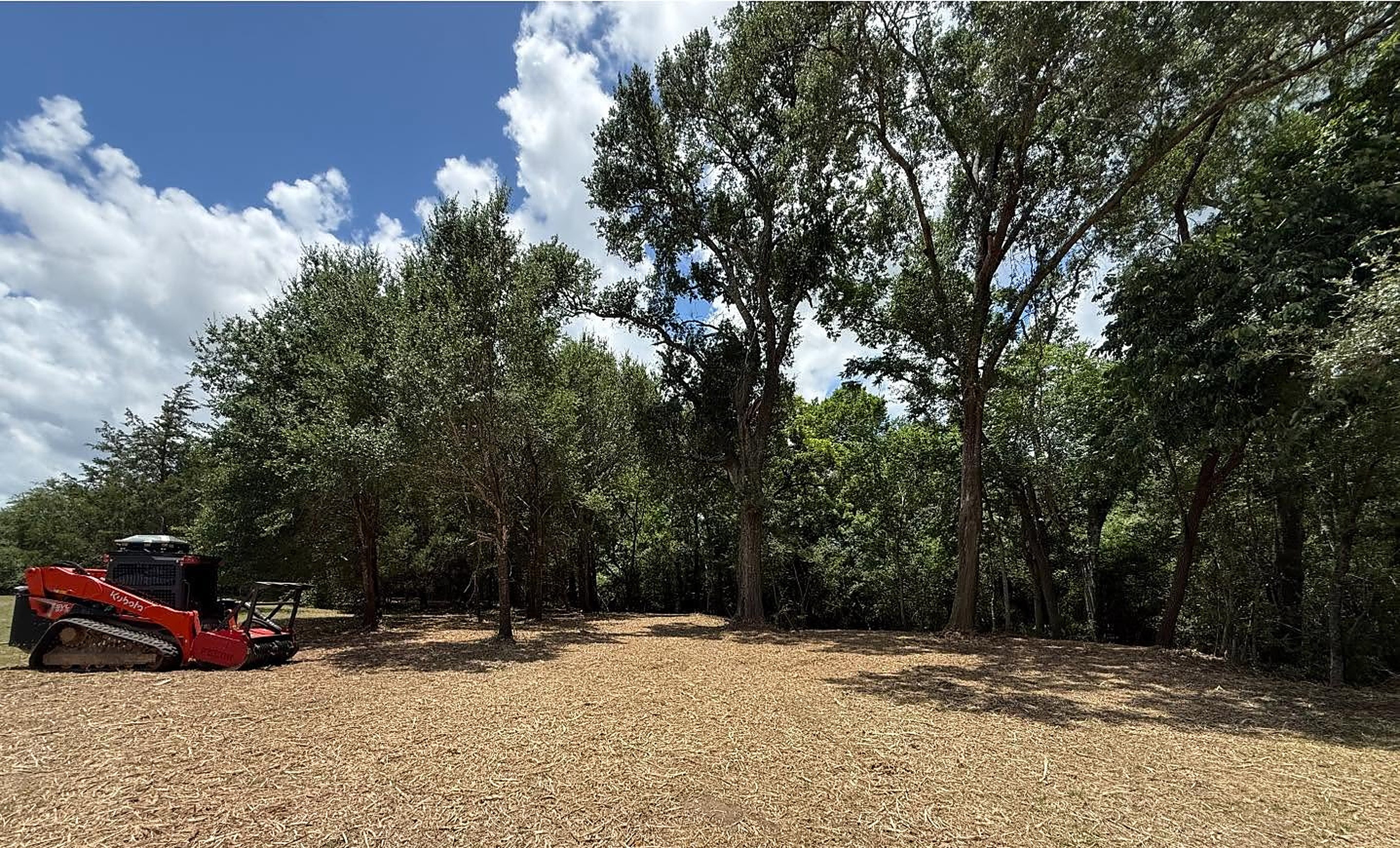 Forestry Mulching after