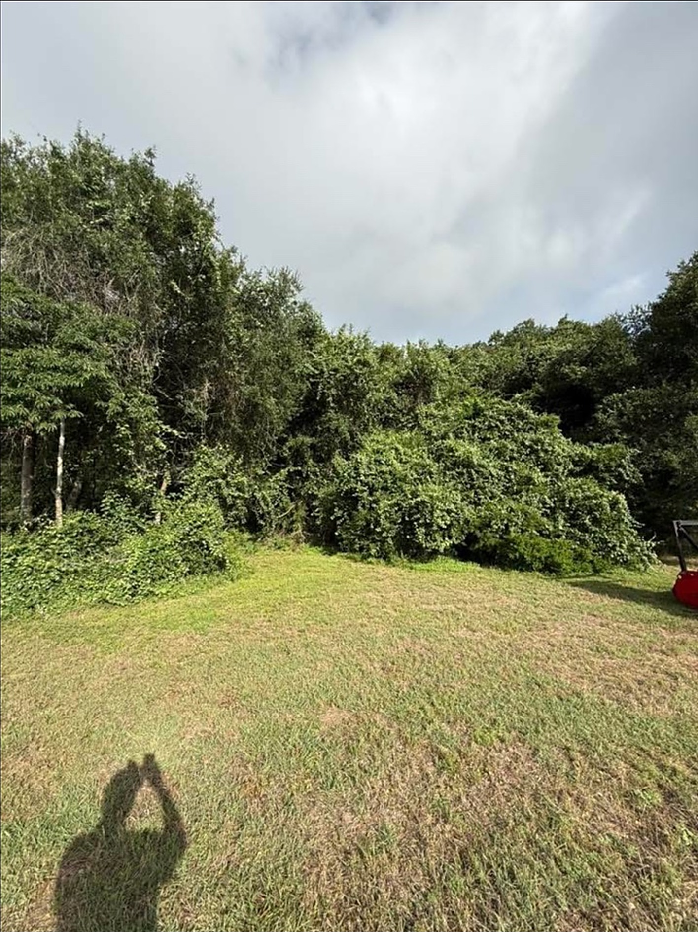 Opened Timber Tract — Land Clearing project by Prestige Land Services in Southeast Texas